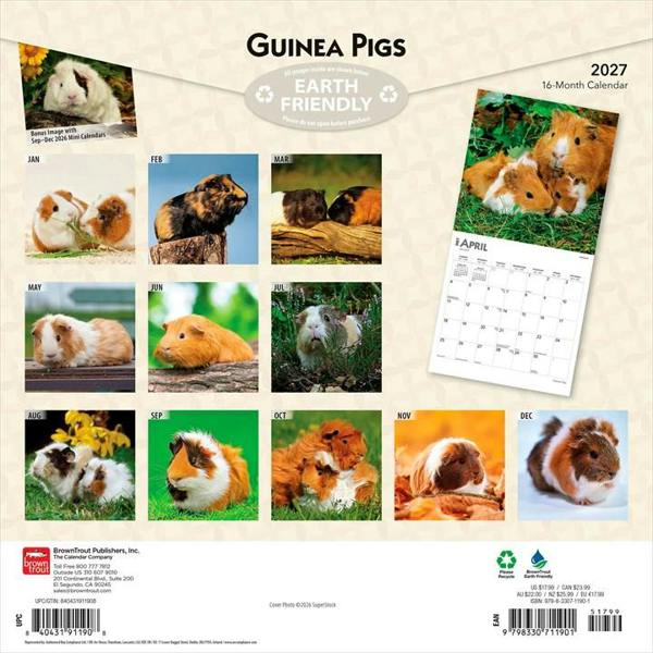 Guinea Pigs Calendar 2027, Wall Calendars, Month To View, Animals, Gift