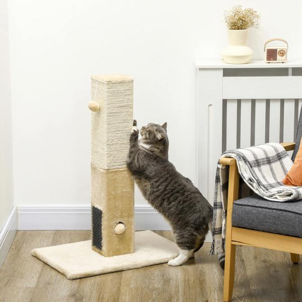 Cat Scratching Post