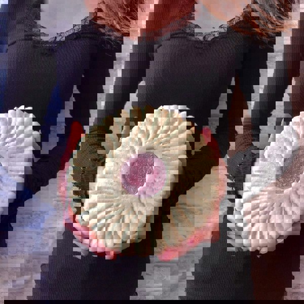 CHOC ON CHOC Giant Jammie Ring Biscuit Shaped Chocolate