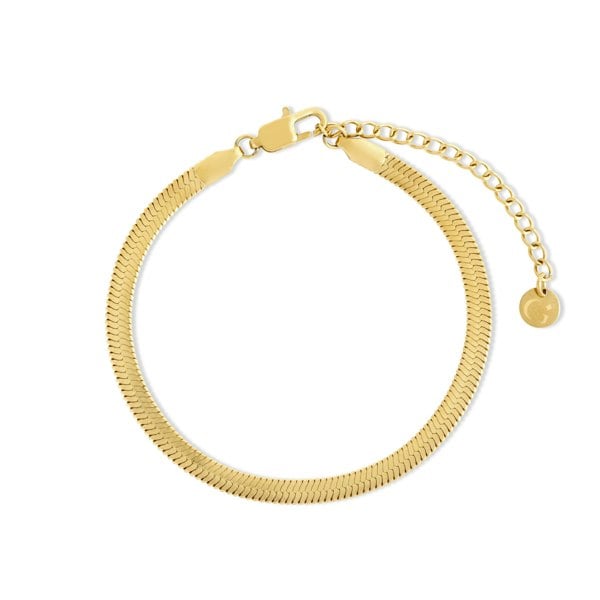 Gold Trip Snake Chain Bracelet