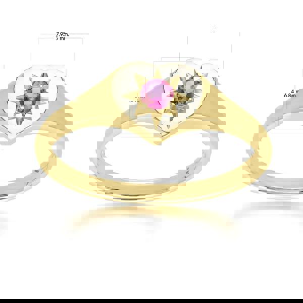 135R2055019 ECFEW™ 'The Liberator' Rhodolite Heart Ring in 9ct Yellow Gold Dimensions