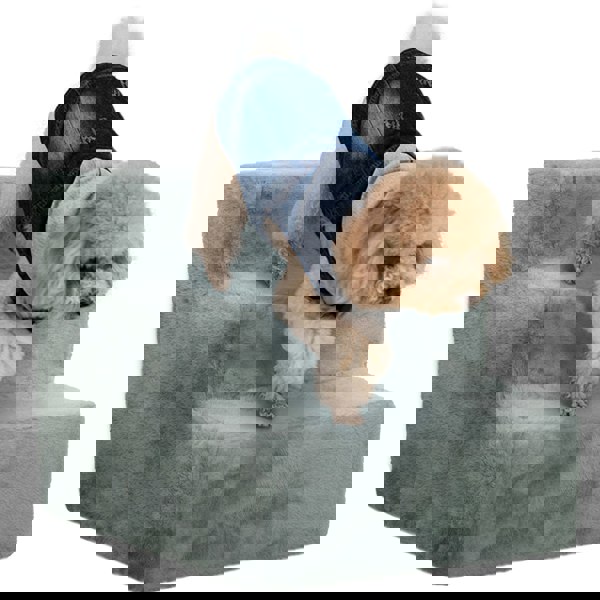 D06-091V01LG