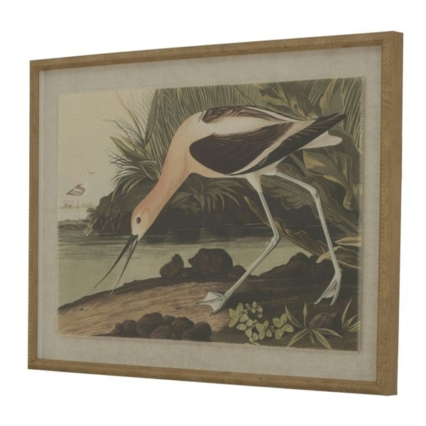 Hill Interiors Flora & Fauna Collection Avocet Linen Framed Wall Art - Multicoloured