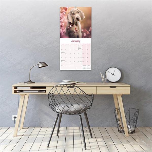 Weimaraner Calendar 2027, Wall Calendars, Month To View, Dogs, Gift