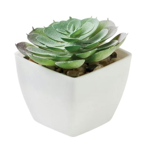 MidOcean Artieche Polypropylene Echeveria Mini Artificial Plant - White - 