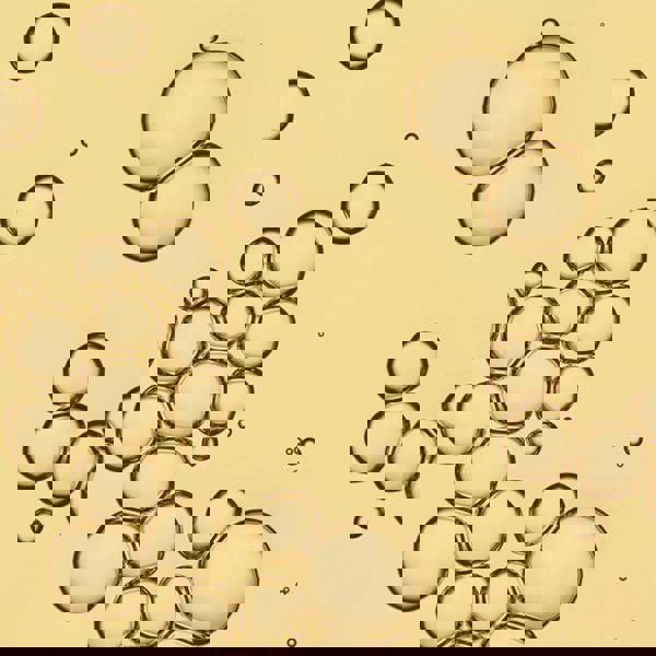 Living Proof. No Frizz Vanishing Oil