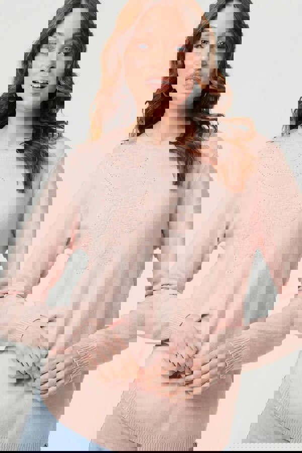 Pink | Sparkle Detail Floral Embroidered Jumper
