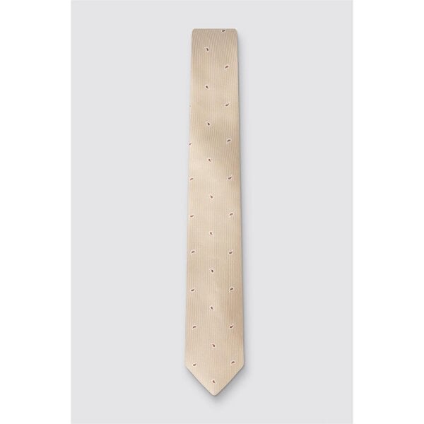 Antique Rogue Ecru Pine Paisley Tie