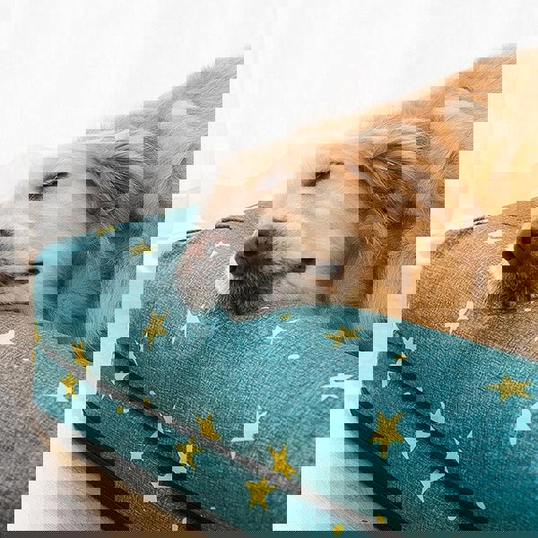 Herringbone Pet Bed, Dog Bed, Cat Bed-Weilai Concept-Weilai Concept