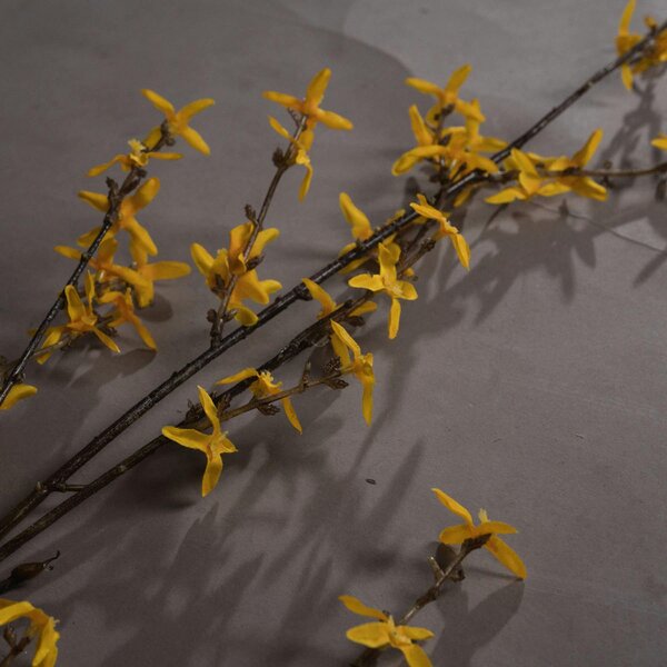 Wyld Haus Set of 3 Artificial Flowers Forsythia Stems
