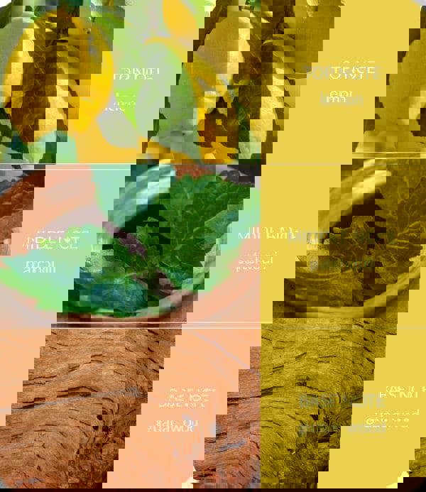 BAMBOO Patchouli & Guaiac Wood - Bamboo Fragrance Spray