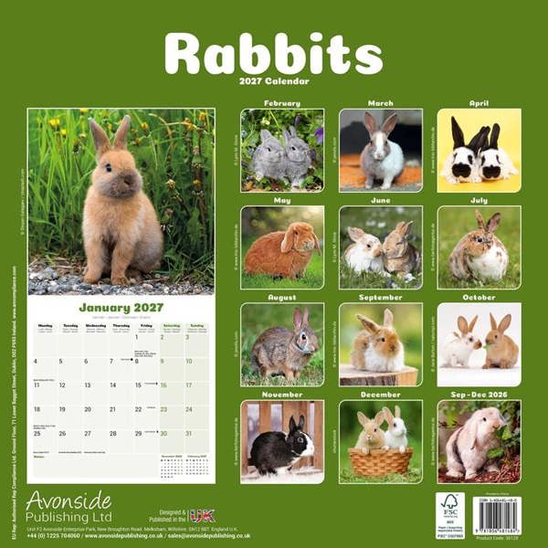 Rabbits Calendar 2027, Wall Calendars, Month To View, Animals, Gift