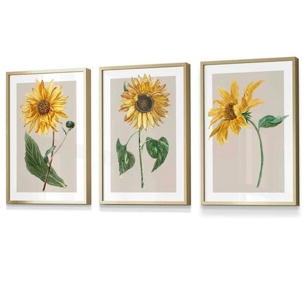 Artze Wall Art Vintage Yellow Sunflowers Set of 3 Framed Prints