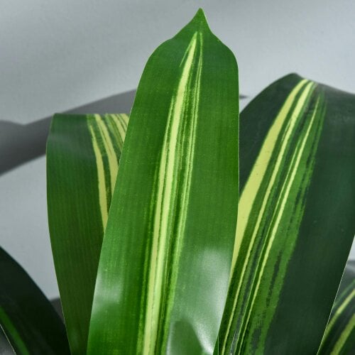 Wyld Haus Baketto Set Of 2 Artificial Dracaena Style Plants For Interior Spaces