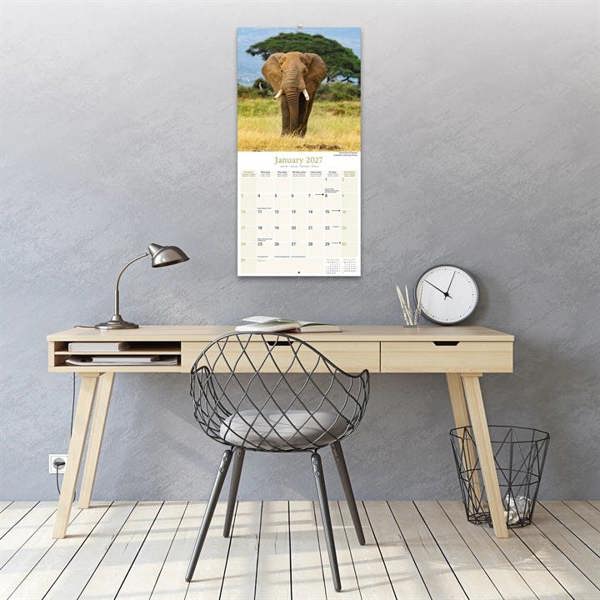 African Wildlife Calendar 2027, Wall Calendars, Month To View, Animals, Gift