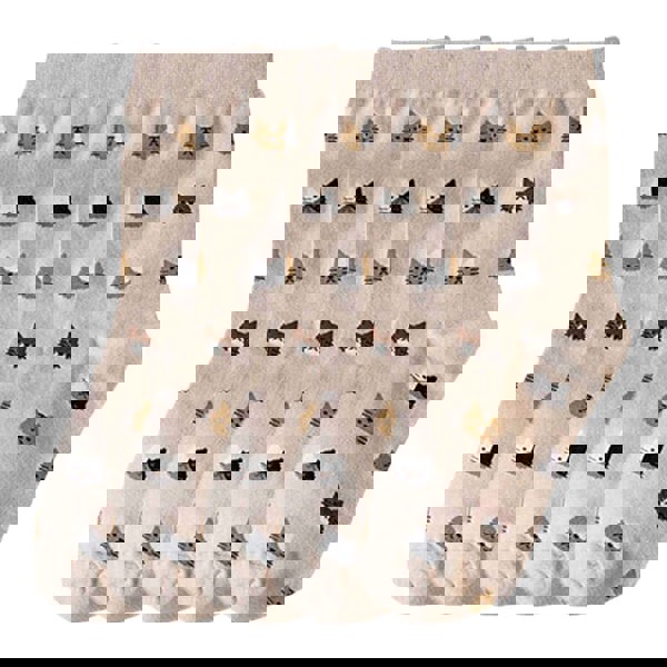 Anysox 5 Pairs Size 5-9 Fashion Socks Thick Warm Cotton Cute Cartoon Cat Animal Ankle Short Casual for Ladies Girls Christmas Gifts Beige