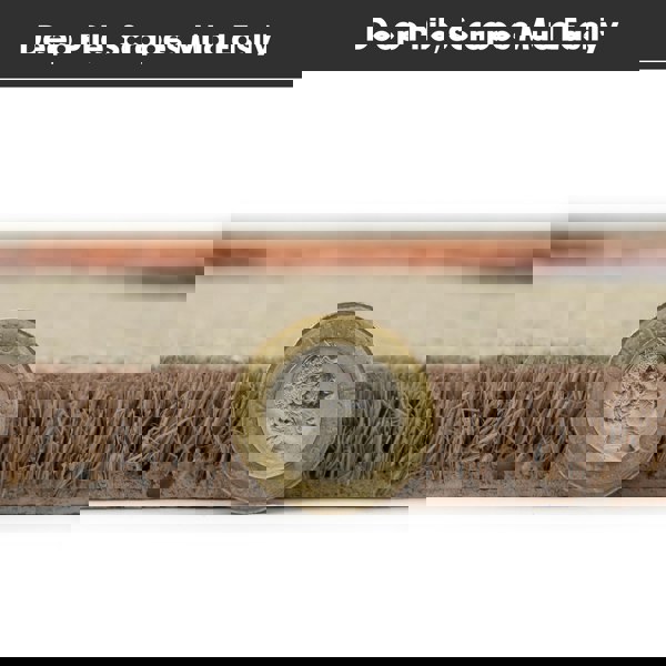 JVL Eco-Friendly Latex Backed Coir Entrance Doormat, 45x75cm - Fox