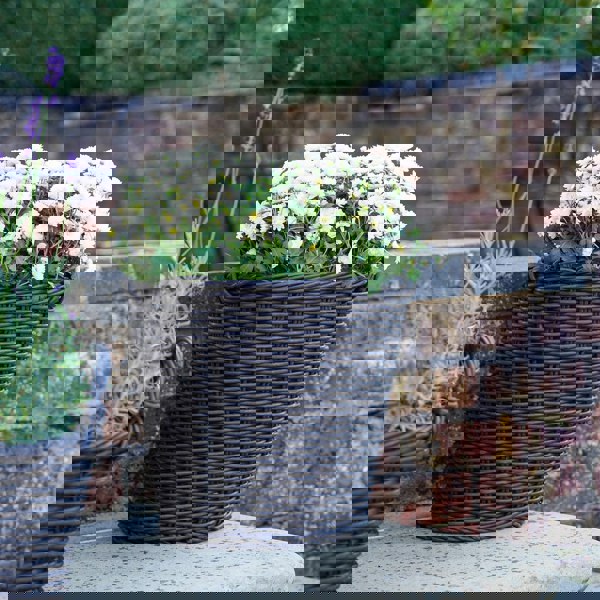 #color_willow