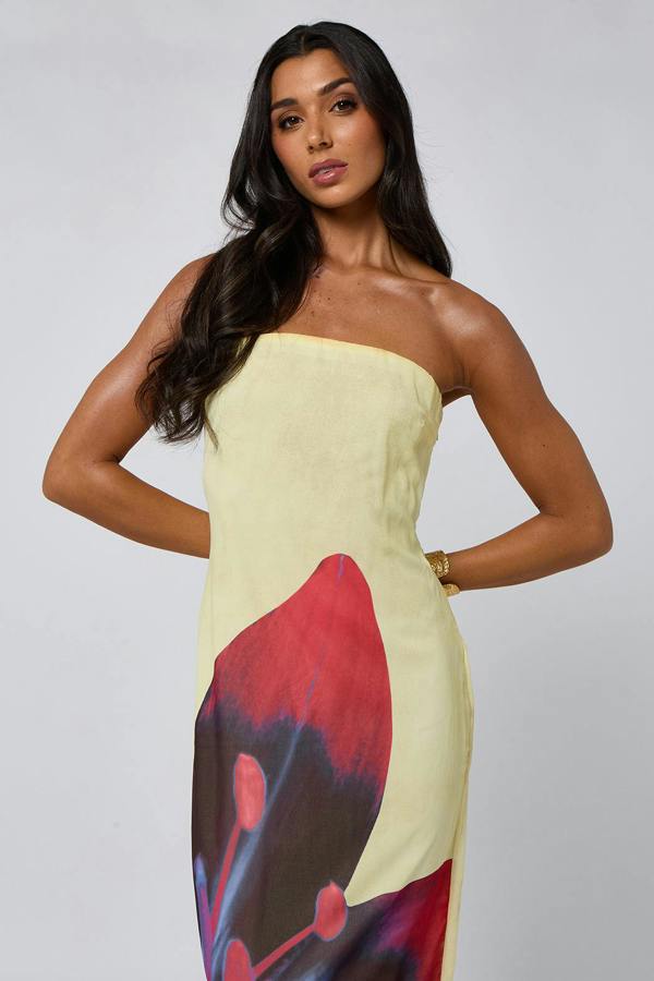 Urban Bliss Bandeau Maxi Dress With Floral Print