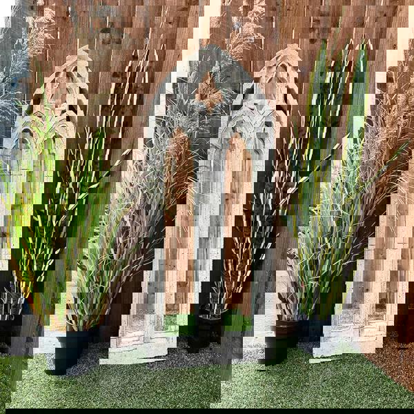 Unique Medium Gothic Wall Mirror