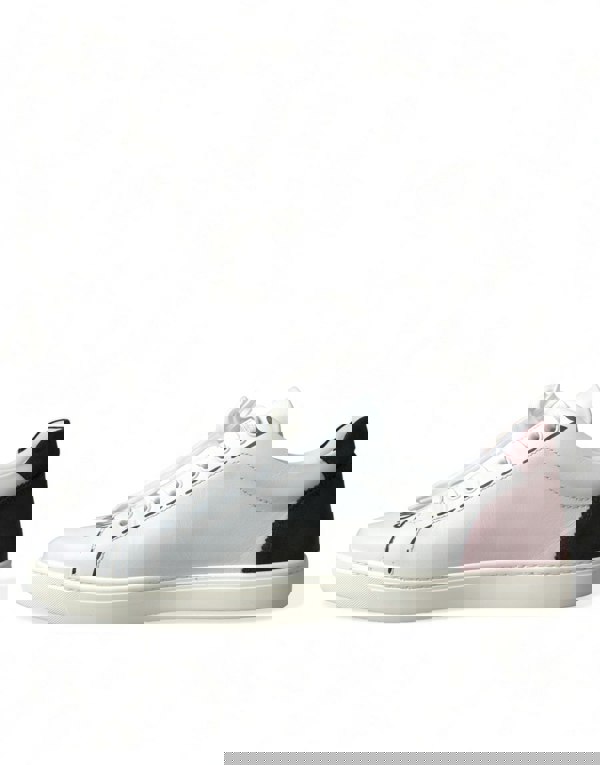 158425884.jpg