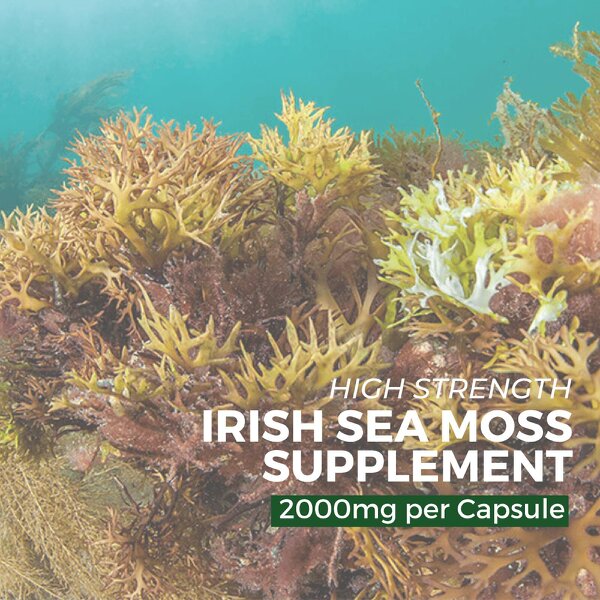 nutripact Sea Moss Complex Capsules