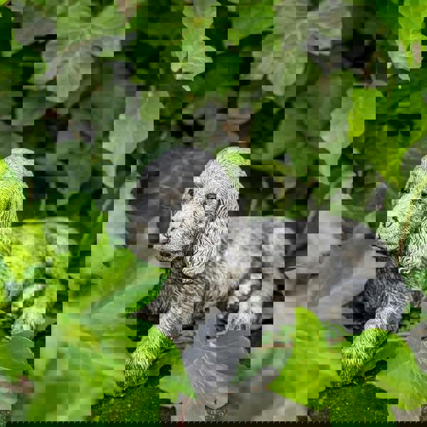 Adorable Small Lying Spaniel Ornament