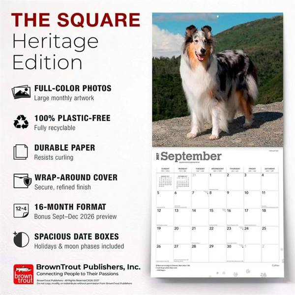 Collies Calendar 2027, Wall Calendars, Month To View, Dogs, Gift
