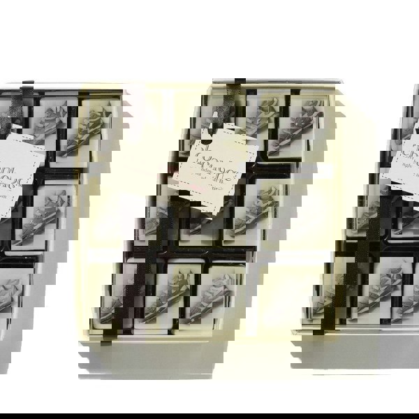 CHOC ON CHOC Chocolate Trainers