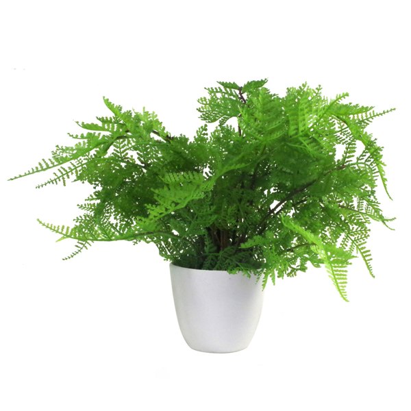 Leaf 30cm Artificial Potted Lady Fern (Athyrium Filix-Femina)