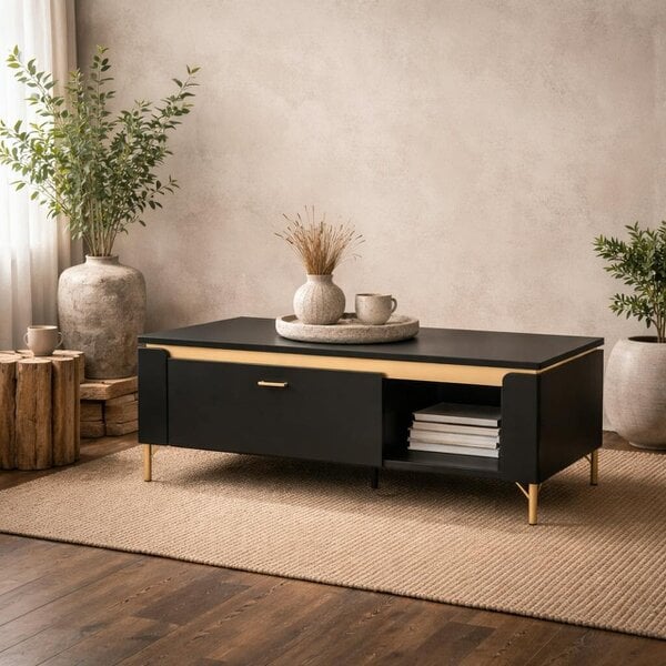 Wyld Haus Marslet Narrow Black and Gold Coffee Table 1 Drawer