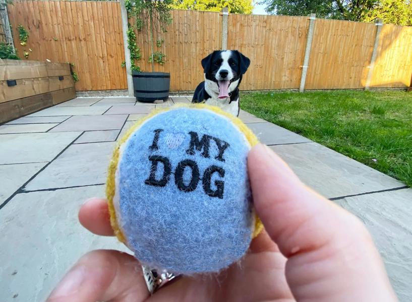 Abode Home & Gifts Set Of Two Personalised Name Dog Balls
