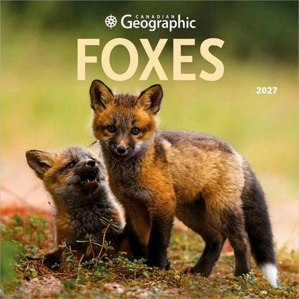 Foxes Calendar 2027, Wall Calendars, Month To View, Animals, Gift