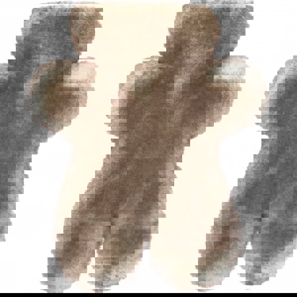 Fenland Water Bottle: Teddy