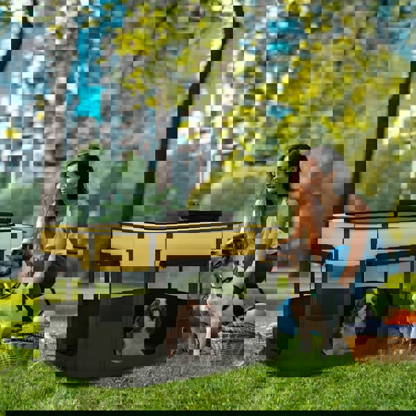 D06-217V01YL