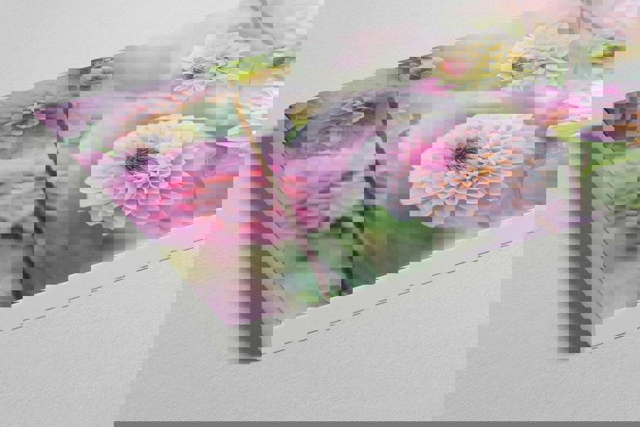 Fernlight Gallery Dahlia Dreams