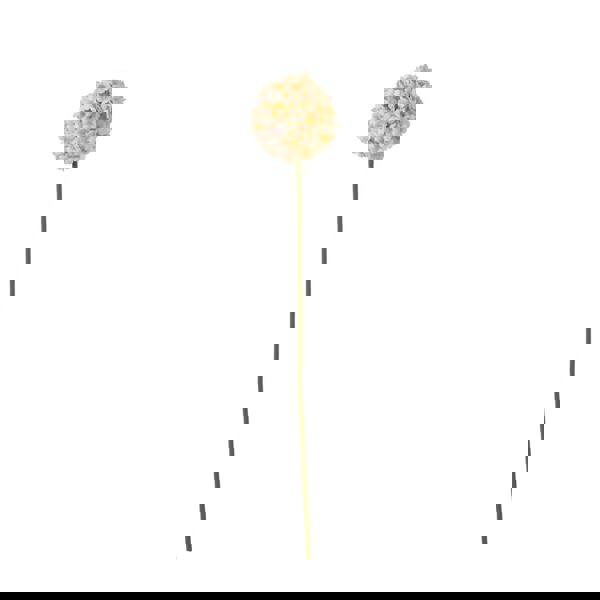 Hill Interiors The Natural Garden Collection Allium Artificial Flower - Apricot/White - 