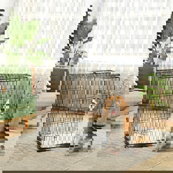 D00-033V00BG