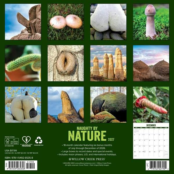 Naughty by Nature Calendar 2027, Wall Calendars, Month To View, Humour, Gift