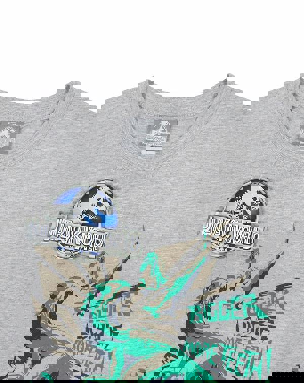 Jurassic World Boys Grey Dinosaur Short Sleeved T-Shirt