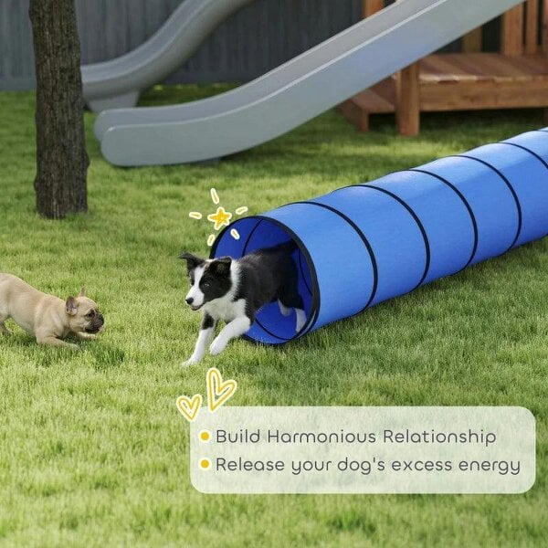 Dog Tunnel, 500 x 60 cm, Foldable Play Tunnel with 6 Pegs and Bag, Tear-Resistant Outdoor Dog Agility Equipment, Blue