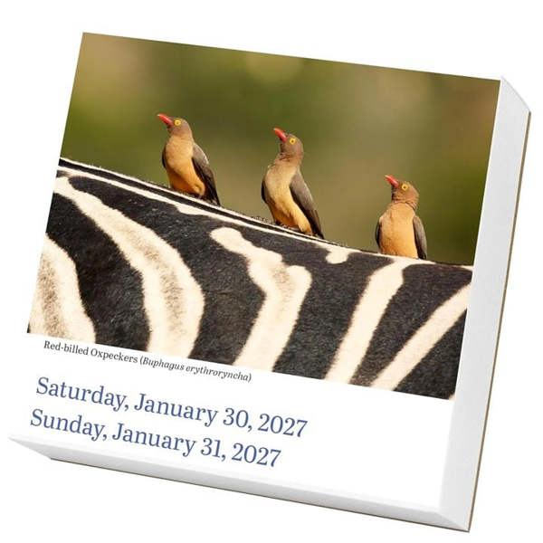 Audubon, Birds Desk Calendar 2027, Desk Calendars, Day To View, Animals, Gift