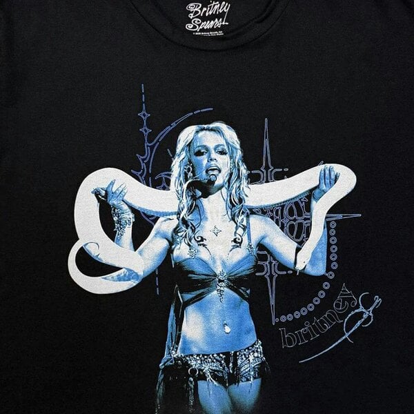 Britney Spears Snake Crop Top