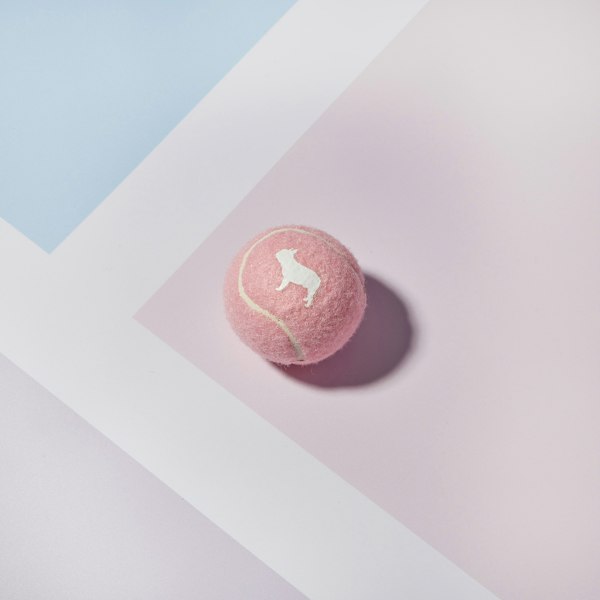 Pink Dog Squeaky Ball with White Barc Logo