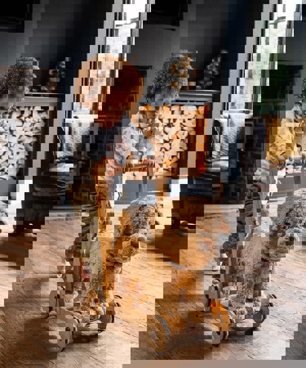 Toddler boy walking dexter dog baby walker