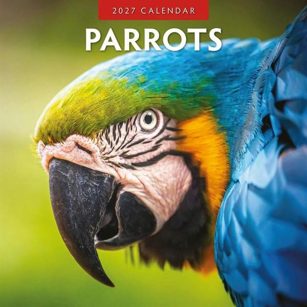 Parrots Calendar 2027, Wall Calendars, Month To View, Animals, Gift