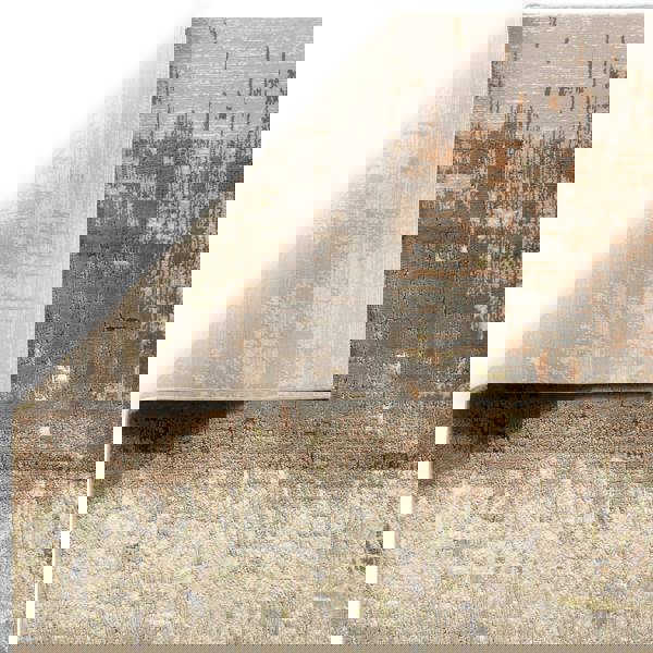 Asiatic Aurora AU01 Dune Rug