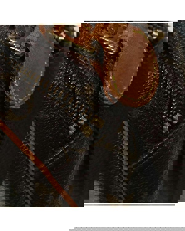 193974747.jpg