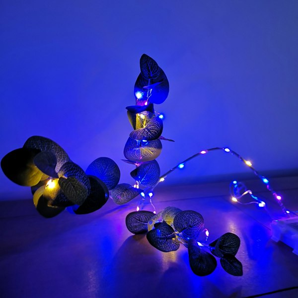 Samuel Alexander 50 LED 2.5m Premier MicroBrights Indoor Outdoor Christmas Multi Function Battery Operated Lights with Timer on Pin Wire in Rainbow