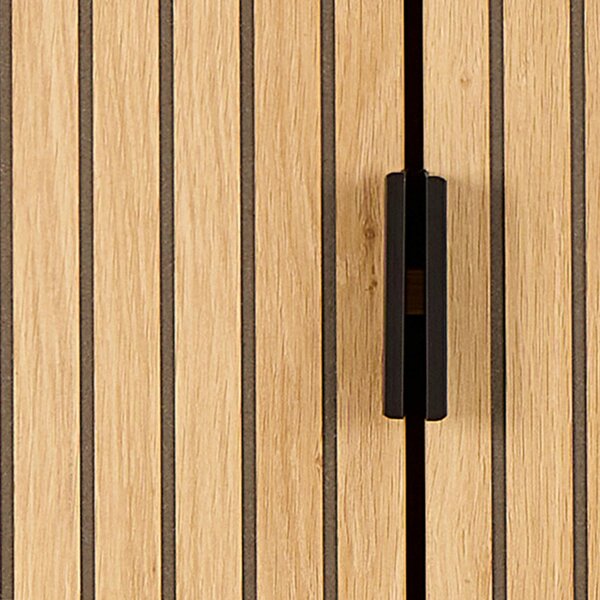 Wyld Haus Jaipur Cabinet 2 Doors 3 Shelves With Oak Lamella Front